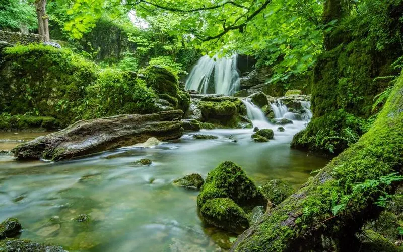 高效高效智能